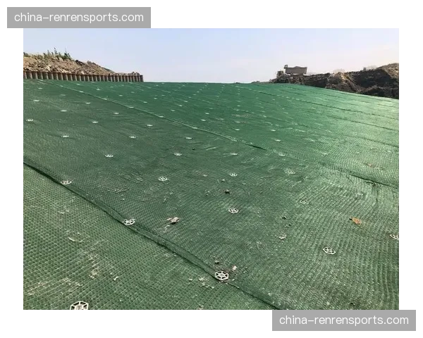 德意志银行公园球场启动草皮更换工程，采用混合锚固草新技术